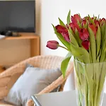 Apartman Callas